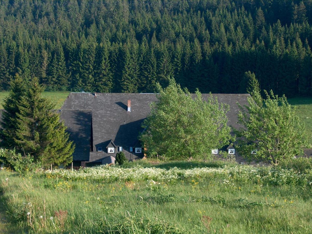 Zur Traube Schwarzwaldhotel & Restaurant Am Titisee Sankt Märgen Dış mekan fotoğraf