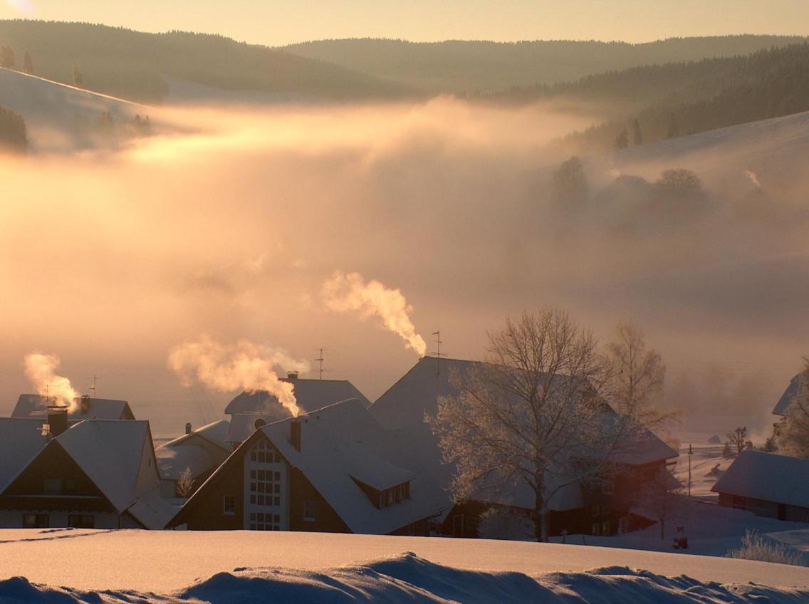 Zur Traube Schwarzwaldhotel & Restaurant Am Titisee Sankt Märgen Dış mekan fotoğraf