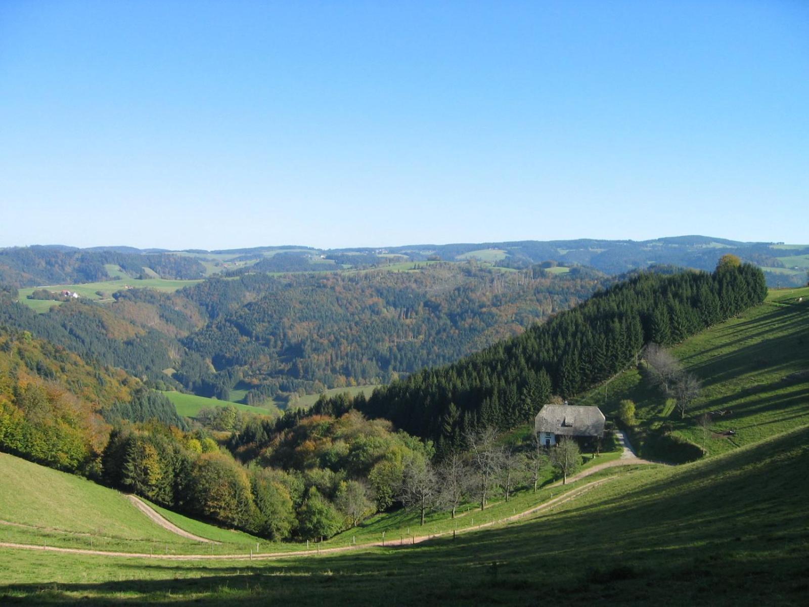 Zur Traube Schwarzwaldhotel & Restaurant Am Titisee Sankt Märgen Dış mekan fotoğraf